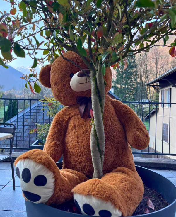 Nounours mascotte explorateur en randonnée dans la forêt des Pyrénées, près de l'Hôtel La Rencluse à Luchon.