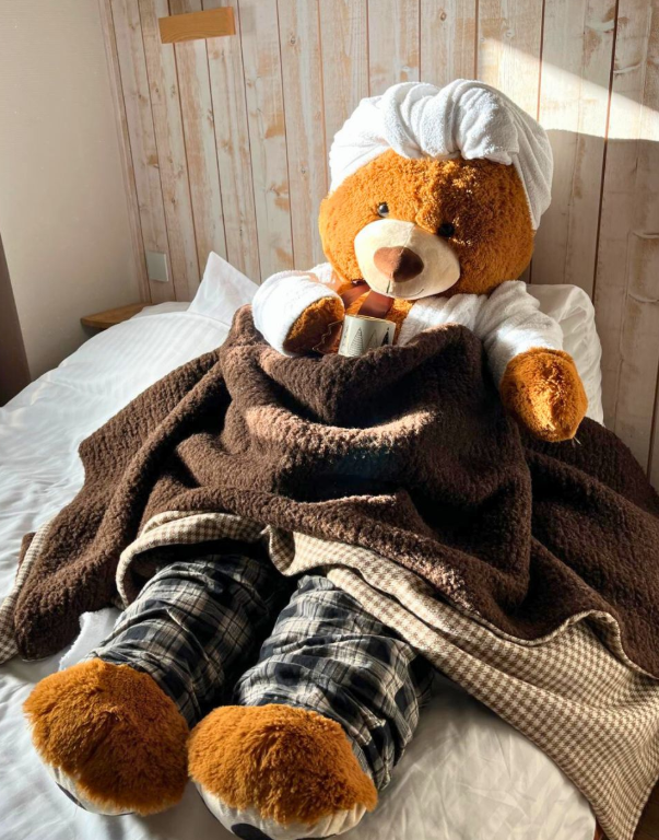 Nounours mascotte dormant paisiblement dans un grand lit douillet et confortable de l'Hôtel La Rencluse à Luchon.