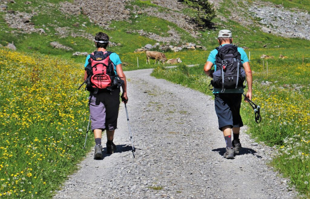 Couple de randonneurs marchant sur un chemin de montagne avec deux chiens en laisse, Pyrénées.
